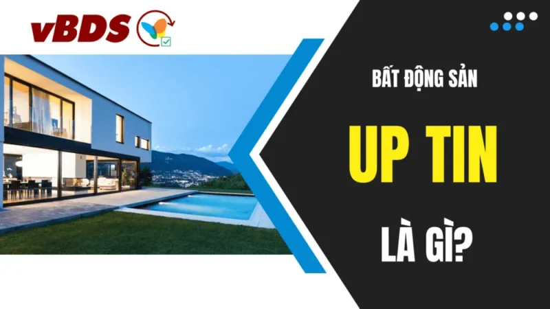 Up tin/ đẩy tin là gì có tác dụng gì? Tại sao Môi giới nên Up tin?